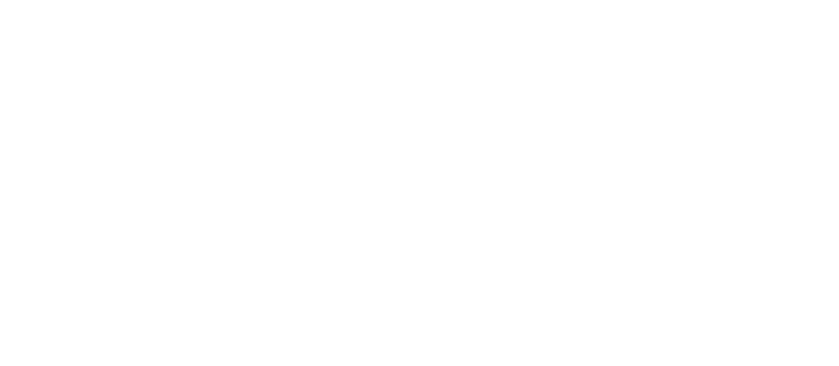 Aeternum Intelligence